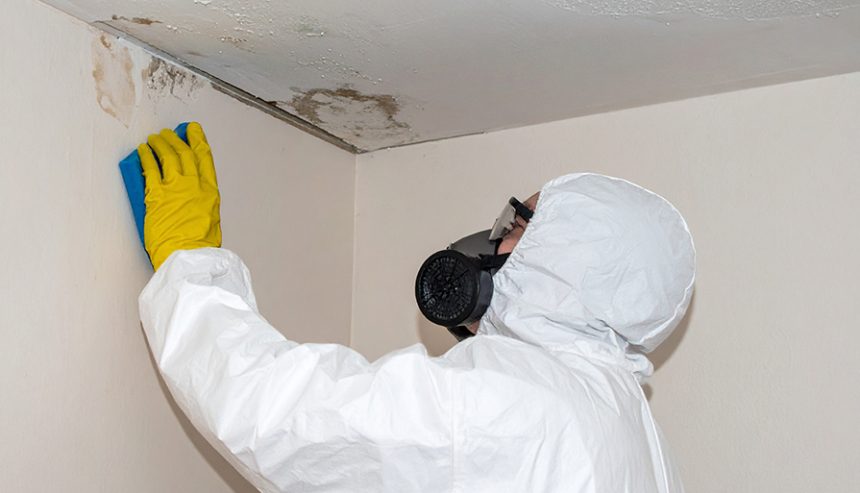 Mold Remediation Services