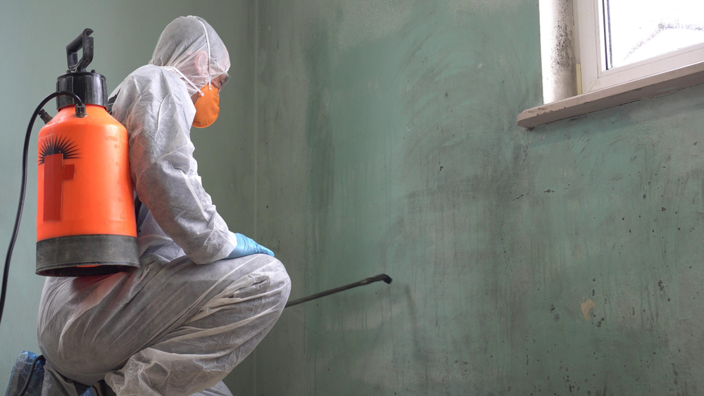 Mold Remediation Services