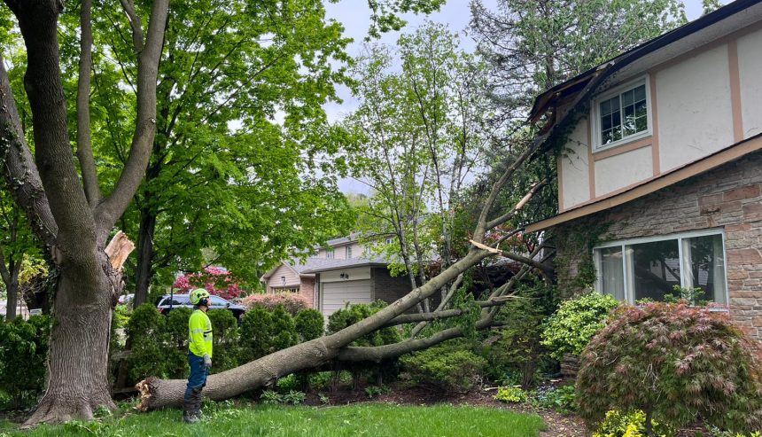 Storm Damage Restoration