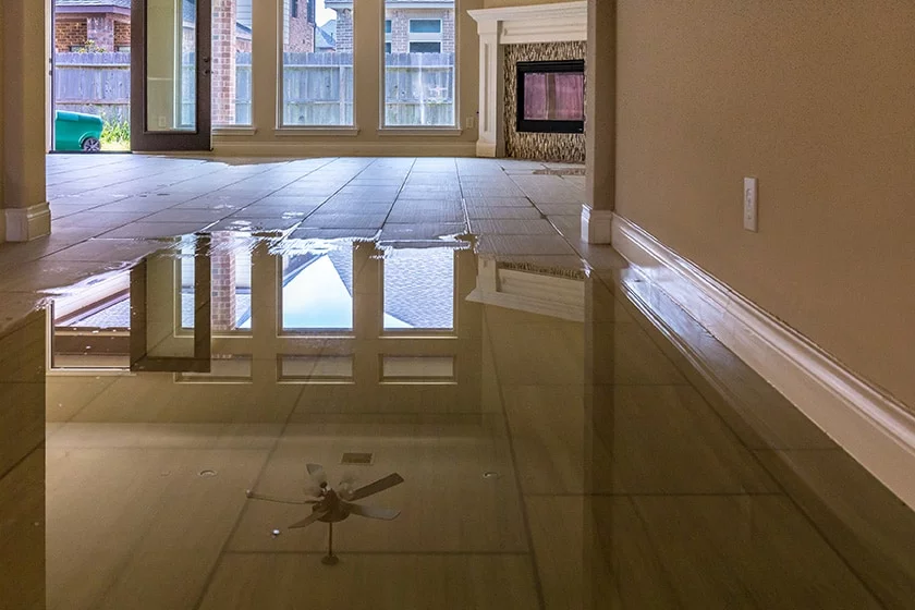 Water Damage Repair Expert